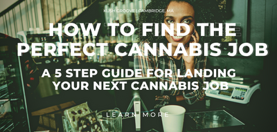 5 Tips for Finding The Perfect Cannabis Job