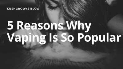 5 Reasons Why Vaping Is So Popular