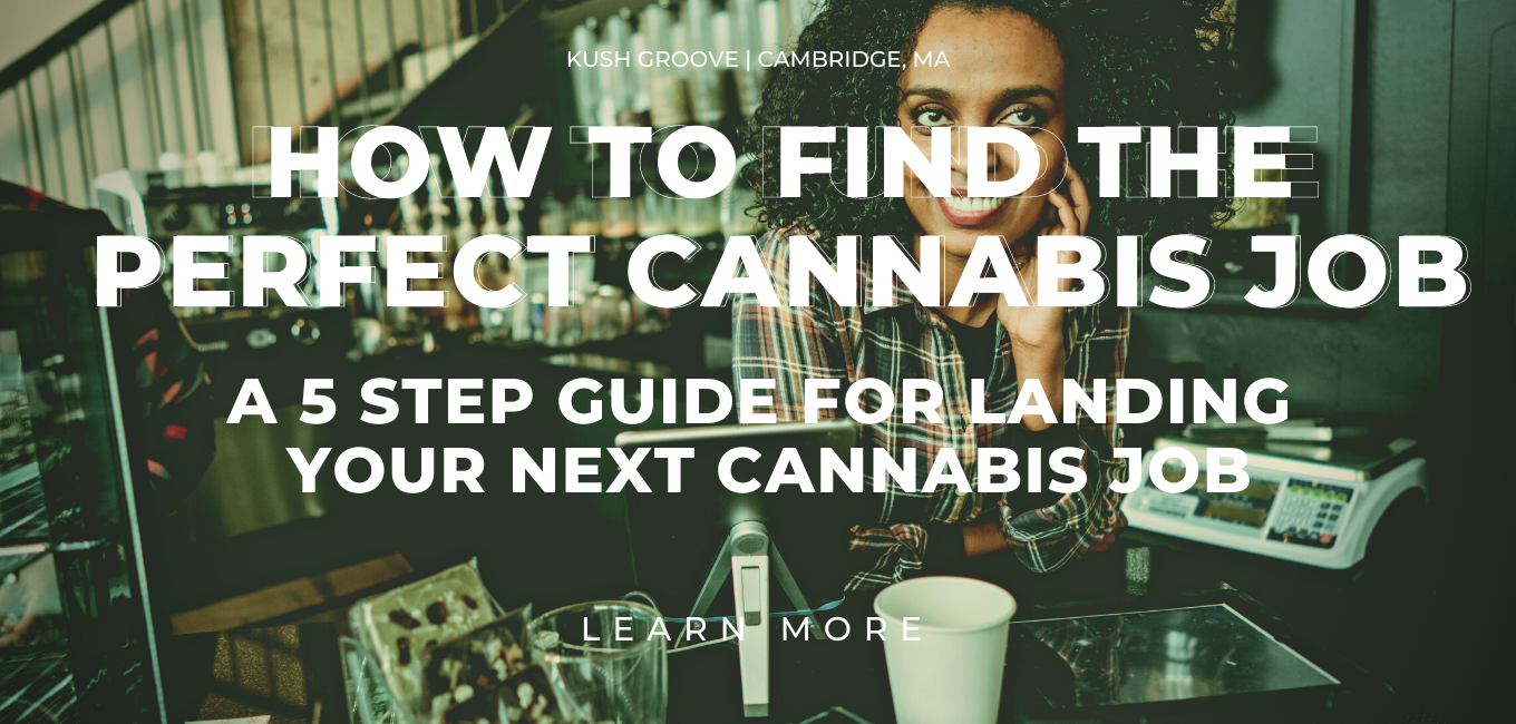 5 Tips for Finding The Perfect Cannabis Job
