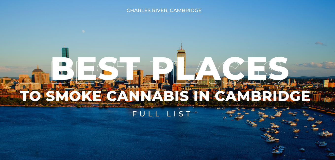 Best Places to Smoke Cannabis in Cambridge, MA