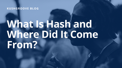 what is hash?