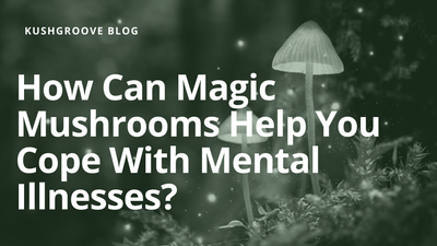 How Can Magic Mushrooms Help You Cope With Mental Illnesses?