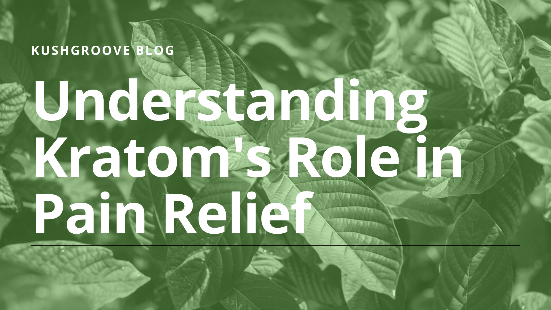Understanding Kratom's Role in Pain Relief