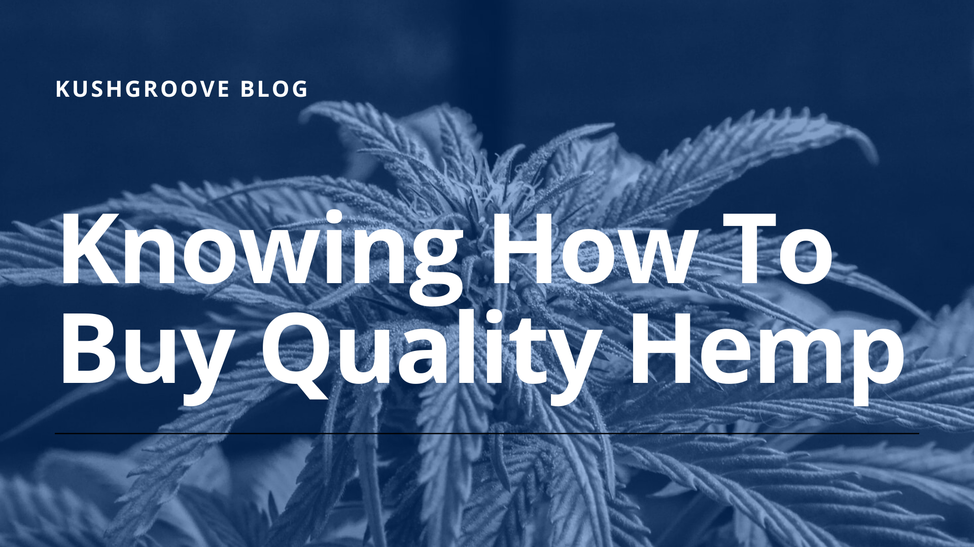 How To Know If The Hemp You're Buying Is Quality and Legit