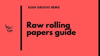 Raw Rolling Papers & Accessories Product Guide