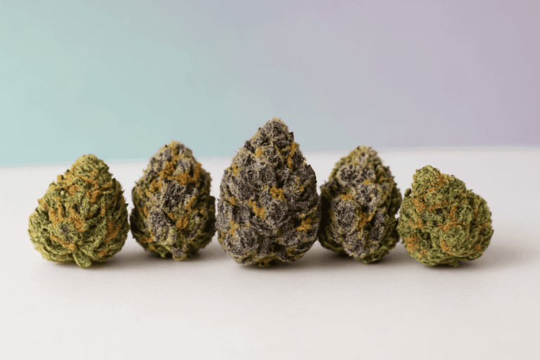 Dispensaries in Boston