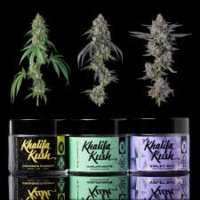 Recreational Weed Dispensary