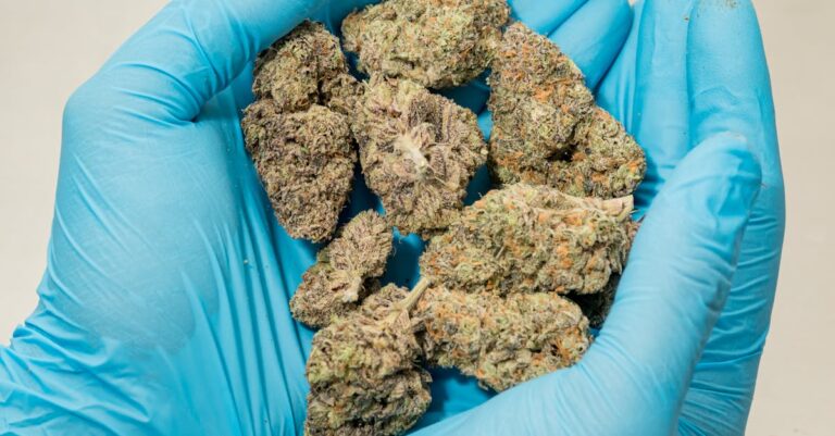 Half Ounce of Weed for Sale