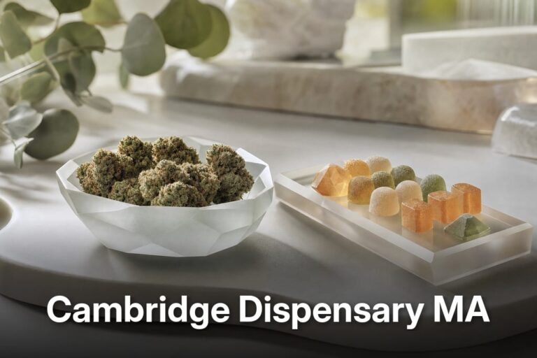 Premium split display of cannabis flower and jewel-like gummies at cambridge dispensary ma